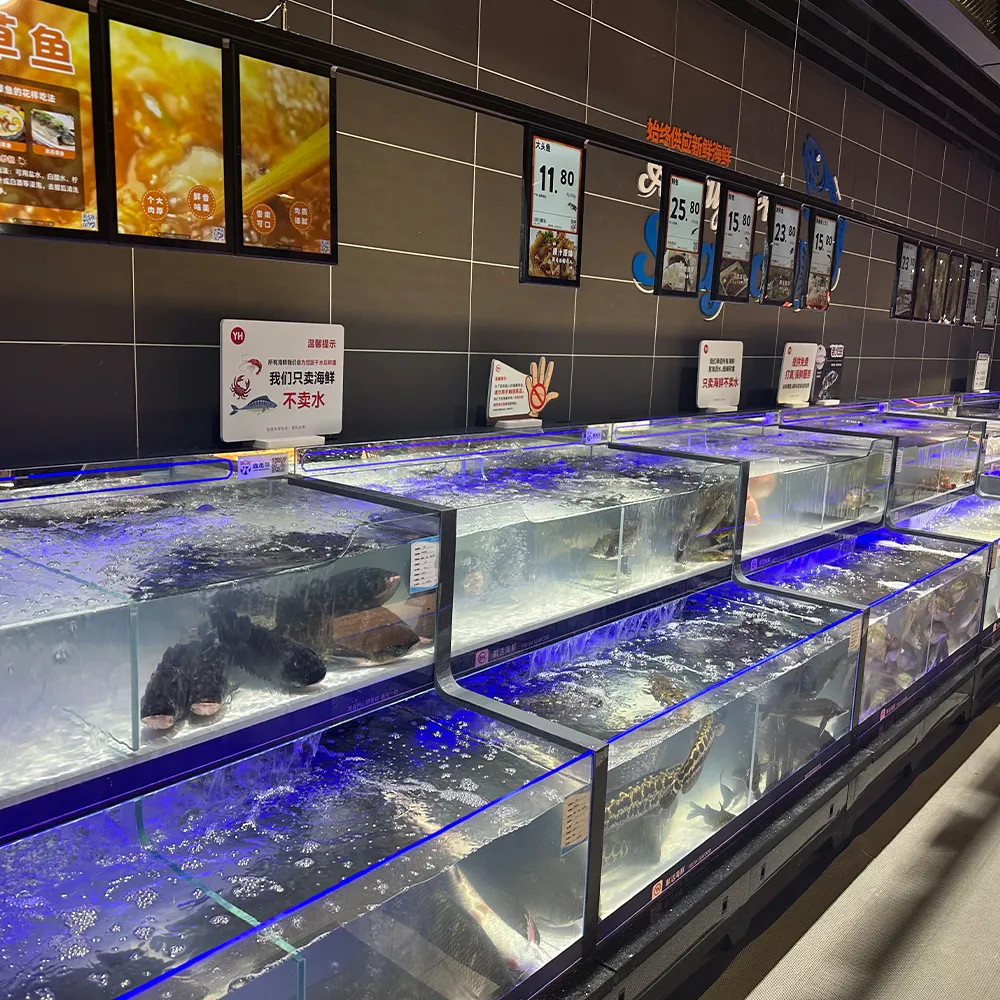 Refrigerated Seafood Displays